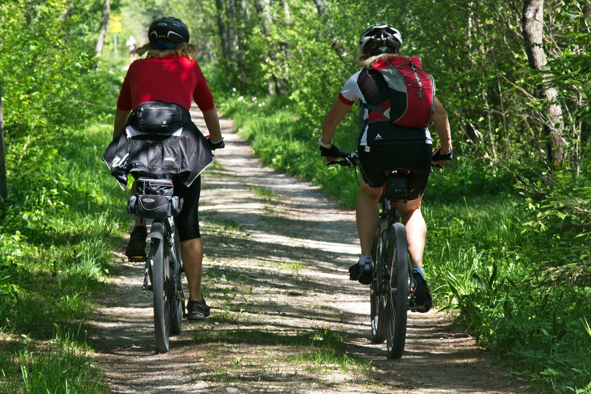 Bicisendadeloso