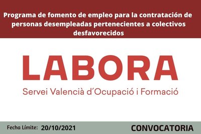 Bases de la convocatoria
