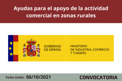 Bases de la convocatoria