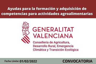 Bases de la convocatoria formaci�n de actividades agroalimentarias