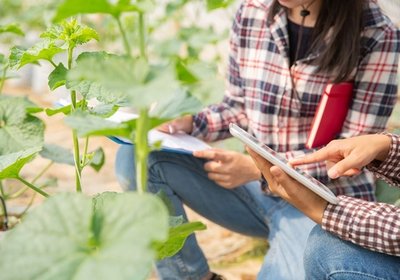 subvenciones destinadas a entidades de mujeres rurales de ámbito nacional para el ejercicio 2022