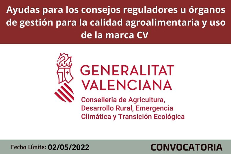 Ampliar imagen