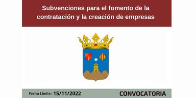 Bases reguladoras para el fomento de la contrataci�n y la creaci�n de empresas