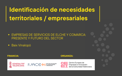 Empresas de servicios de Elche y comarca: Presente y futuro del sector