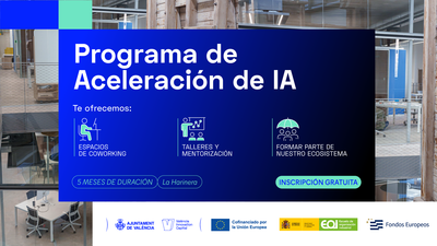 Programa de Aceleracin de IA