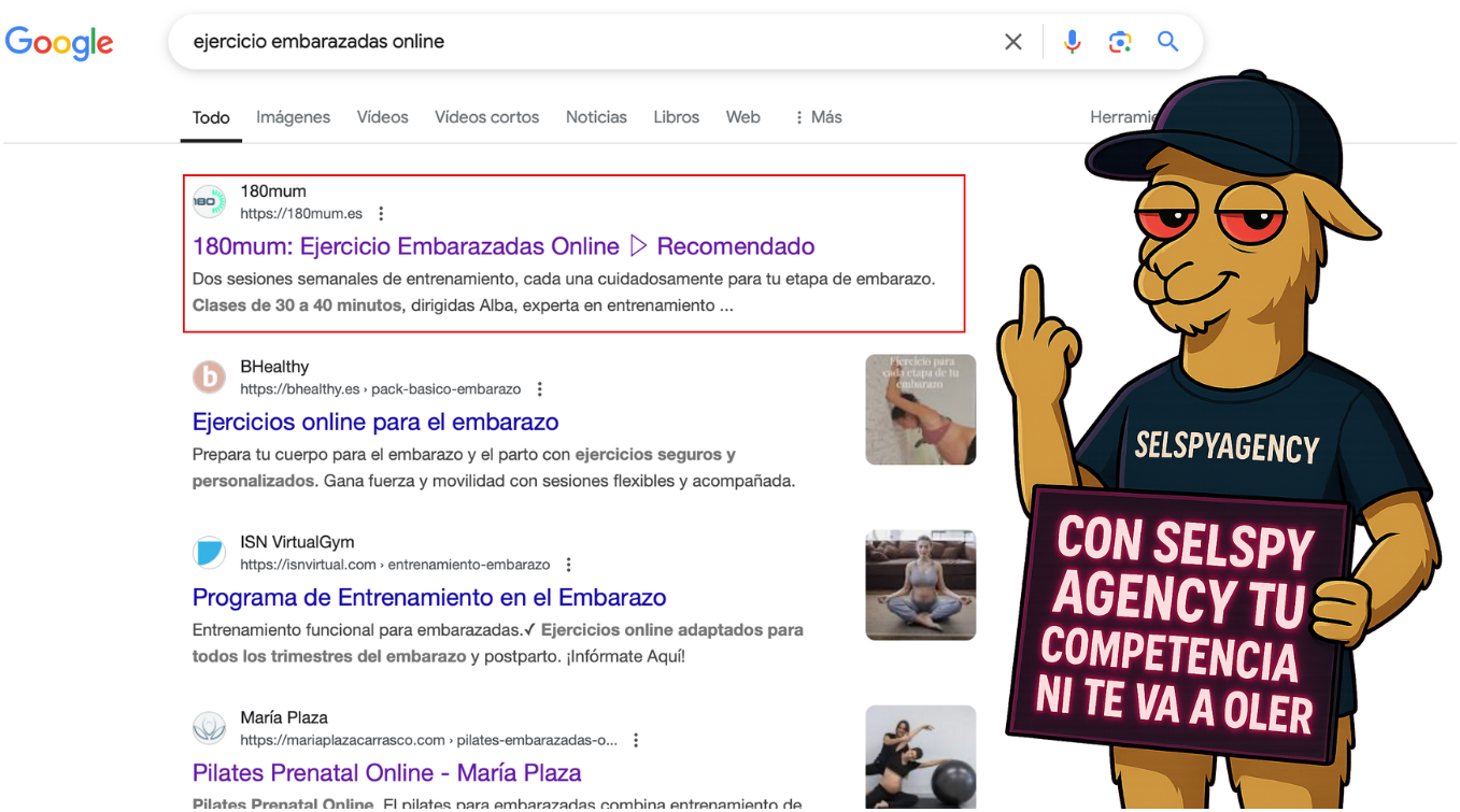 Tesla se interesa por una agencia SEO Murcia: Selspy Agency llama la atención del gigante tecnológico