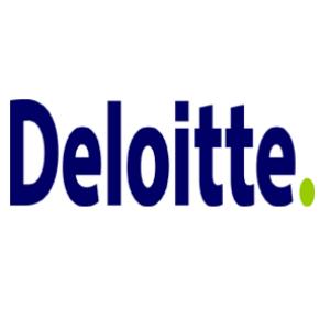 Deloitte Technology Fast50 competition