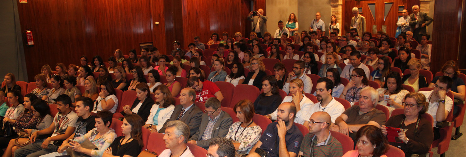Plenario 8 Enrédate Alzira 2015