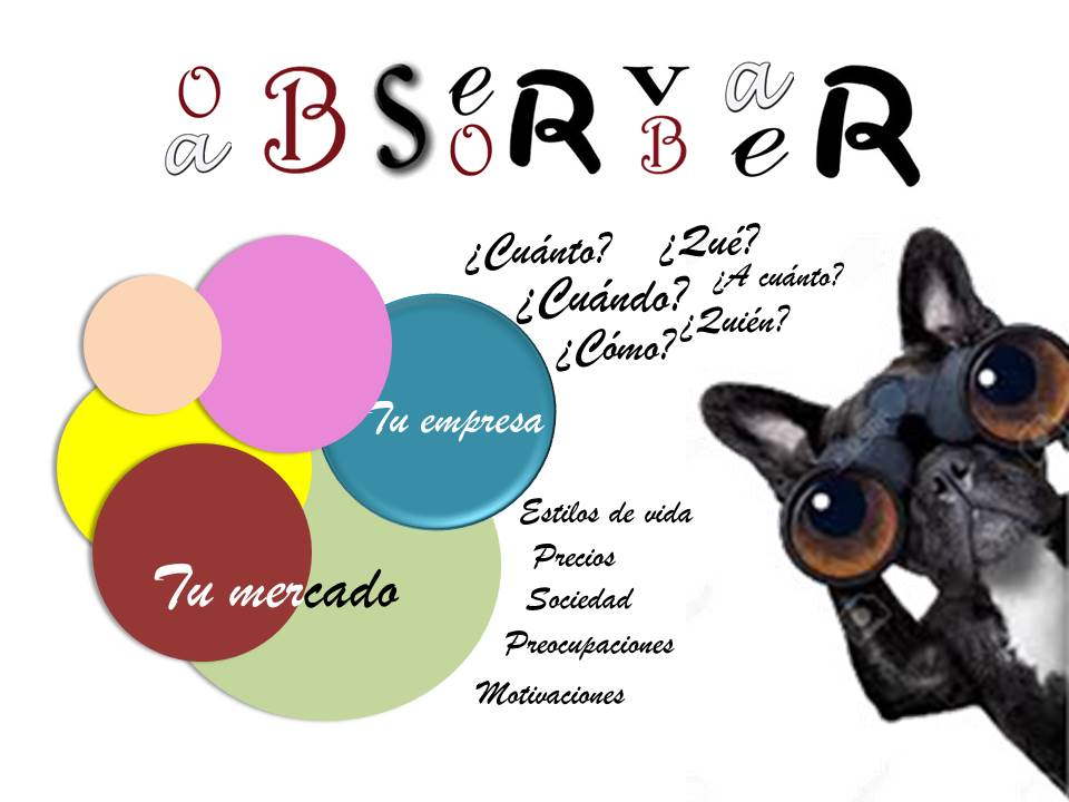 C�mo conocer las tendencias de tu mercado