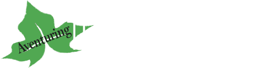 Teambuilding Barcelona