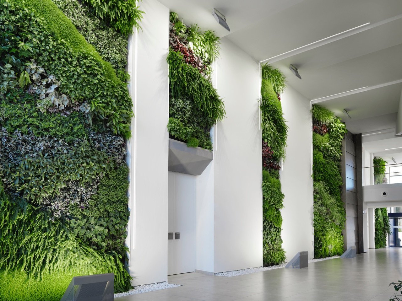 Instalaci�n realizada en la empresa San Lucar Fruit[;;;][;;;]