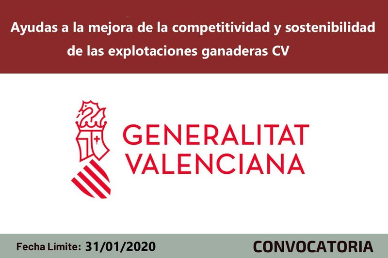 Ampliar imagen