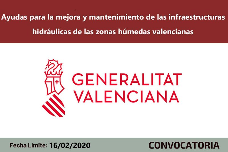 Ampliar imagen