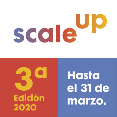 Bases Programa Scale Up 2020