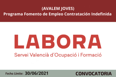 Bases de la Convocatoria