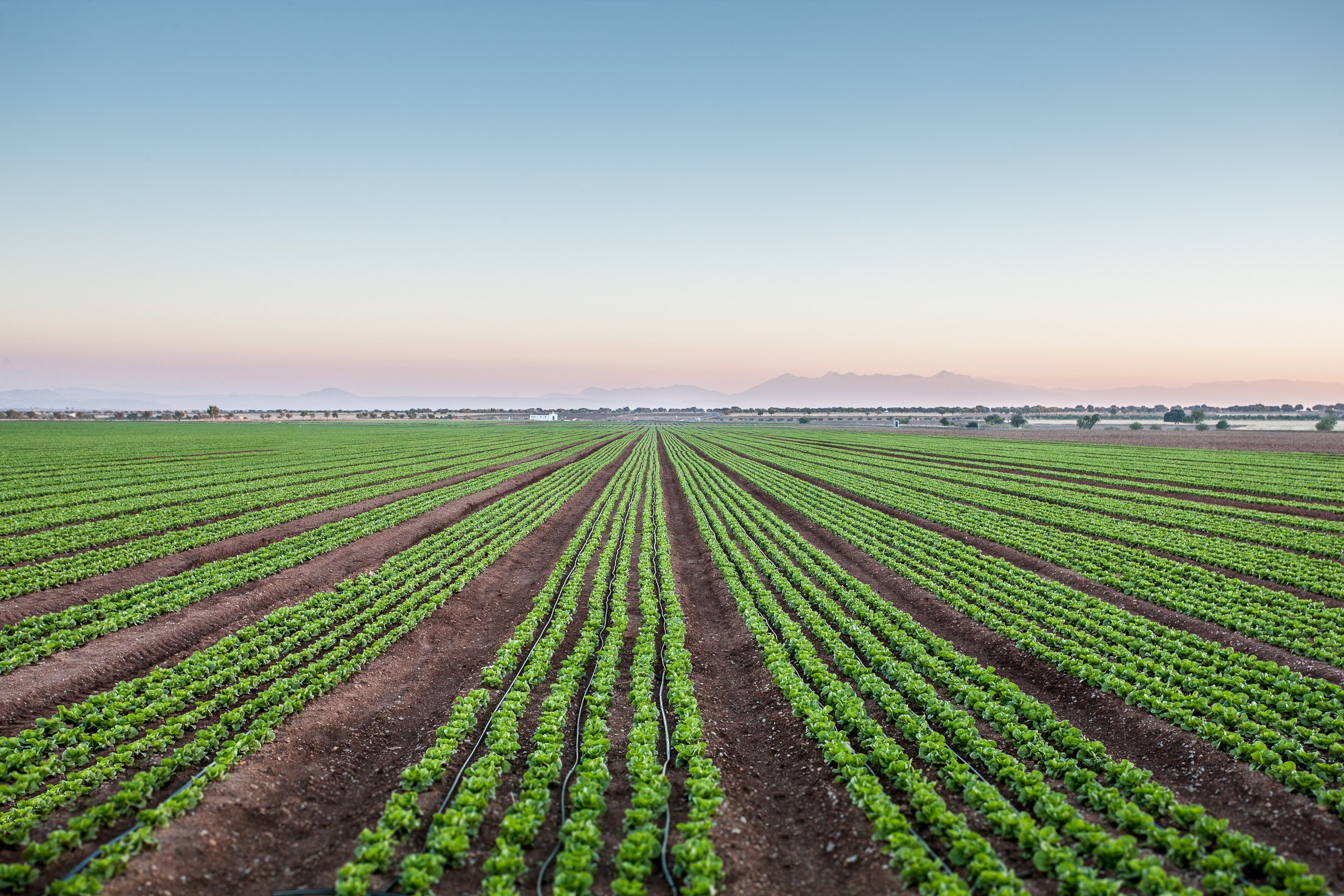 Espace Tecno Agrícola S.L.