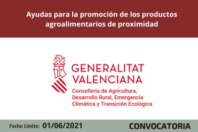 Bases de la Convocatoria