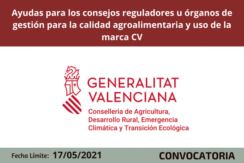 Ampliar imagen