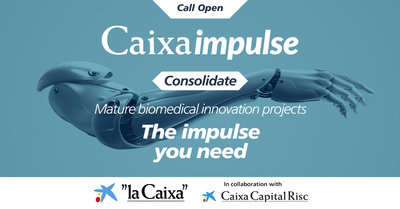 Bases Convocatoria Consolidate Fundación "la Caixa" (inglés)